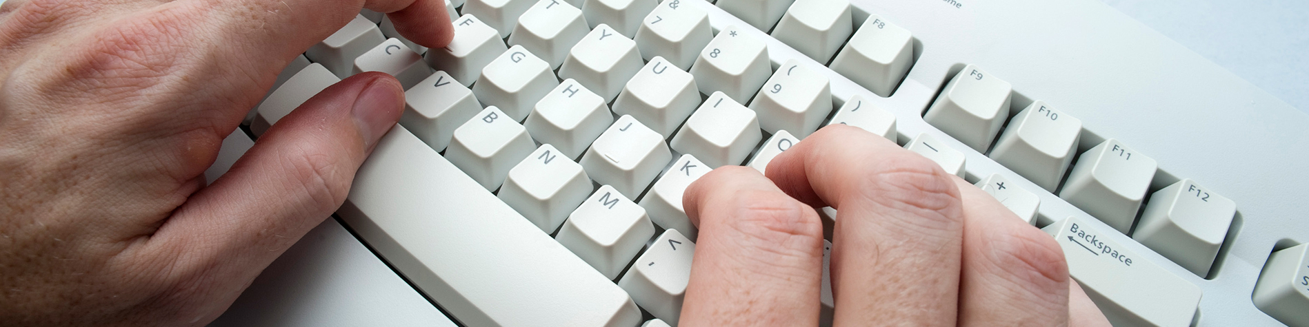 CONSULTA-ONLINE-2